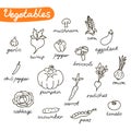 Set of vegetables