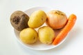 Set of vegetables in bowl for making soup or borscht. Culinary idea for dieting or fasting days