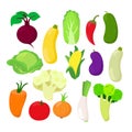 Set of vegetables cabbage, chinese cabbage, red pepper, corn, leek, onion, beetroot, carrot, eggplant, tomato, cucumber. Royalty Free Stock Photo
