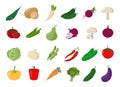 Set of vegetables in cartoon style, flat vector illustration, farm product collection Royalty Free Stock Photo