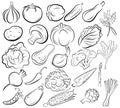 Set of vegetables. Collection of black and white stylized vegetables. Linear art fresh food. Vector illustration of