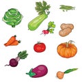 Set of vegetables, diet, vegetarianism, stylization, isolated object on a white background, vector illustration