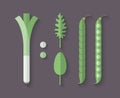 A set of Vegetables in a Flat Style - Leeks, Green Bean; Arugula