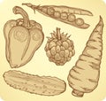 Set vegetables, fruits and berries, hand-drawing.