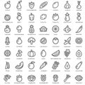 Set of vegetables and fruits outline Royalty Free Stock Photo