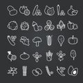 Set of 30 vegetables icons Royalty Free Stock Photo