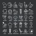 Set of 30 vegetables icons Royalty Free Stock Photo