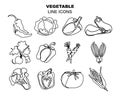 Set of vegetables, line art icons. Black outline, vector Royalty Free Stock Photo