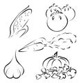 Set of vegetables logos