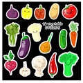 set of vegetables nuts herbs spice condiment icons isolated on black background. Colorful leaves lettering. Concept graphic vector Royalty Free Stock Photo