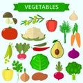 Set of vegetables. Organic vegetarian healthy food isolated on white background. Vector.
