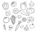 Set of vegetables in outline style. Sketch tomato, garlic, pumpkin, zucchini, corn, broccoli isolated on white. Vector