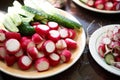 Set of vegetables for salad: lettuce, cucumbers, radish, green onions and green leafs of sorrel Royalty Free Stock Photo