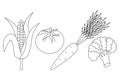 Set of vegetables. Sketch. Vector illustration. Corn, tomato, carrot, broccoli. Doodle style. Isolated background.