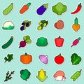 Set Of Vegetables Sticker On Blue Background Colorful Icons Collection