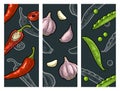Set vegetables. Vector color and monochrome vintage engraving Royalty Free Stock Photo