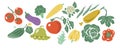 Set with vegetables vector hand-drawn illustration. Set of flat icons cabbage tomatoes