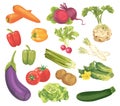 Set of vegetables. Veggie Lover Elements