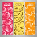 Set of vegetarian fresh fruit banners. Fruit sketch