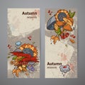 Set vertical banners of colored autumn doodle Royalty Free Stock Photo