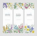 Set of vertical banners decorated with blooming wild flowers, beautiful flowering meadow herbs and place for text on Royalty Free Stock Photo