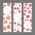 Set of Vertical Fruit Banners. Harvest berry ornament. Vector Illustration. Royalty Free Stock Photo