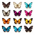 Realistic Colored Butterflies On White Background