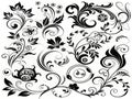 Black Background Floral Decorative Elements Royalty Free Stock Photo