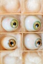 Set of vintage artificial eyes