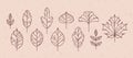 Set of vintage autumn leaf icons. Maple and rowan, ginkgo biloba, Codiaeum, lilac, linden and oak, elm and poplar Royalty Free Stock Photo