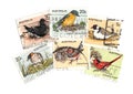 Vintage birds postage stamps from Australia. Royalty Free Stock Photo