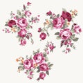 Set of vintage chintz flowers design and decoration elements