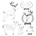Set of vintage deer, emblems, labels, logo