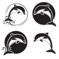 Set of vintage dolphin icons, emblems and labels with waves and water drops Royalty Free Stock Photo