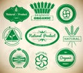 Set of vintage eco labels. Collection 1 Royalty Free Stock Photo