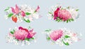 Red pink summer flowers bouquet set Royalty Free Stock Photo
