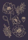 Set of vintage golden set of graceful poppy bud in hand drawn style. Art nouveau, modern. Spring flowers. For stickers