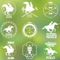 Set of vintage horse polo club labels and badges