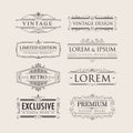 Set vintage luxury calligraphy flourishes elegant logos badges Royalty Free Stock Photo