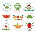 Set of vintage Organic Vegan labels, logos and design elements