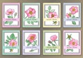 Set Vintage Posters with hand drawn watercolour roses