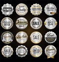 Collection of vintage retro premium quality silver badges and labels Royalty Free Stock Photo