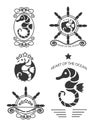 Set of vintage seahorse labels, emblems and design elements. Royalty Free Stock Photo