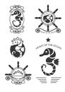 Set of vintage seahorse labels, emblems and design elements. Vector Royalty Free Stock Photo