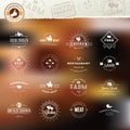 Set of vintage style elements for labels and badges for meat Royalty Free Stock Photo