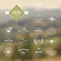 Set of vintage style elements for labels and badges for natural food and drink Royalty Free Stock Photo