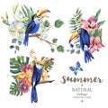 Set of vintage summer vector toucan, butterflies and flowers