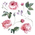 Set vintage watercolor bouquet of roses leaves Royalty Free Stock Photo