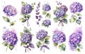 Set vintage watercolor elements of Blooming Hydrangea and garden flowers, leaves branches flowers and wildflowers, watercolor Royalty Free Stock Photo