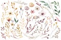 Set vintage watercolor elements of flowers, garden and wild flowers, leaves, branches flowers, illustration isolated Royalty Free Stock Photo